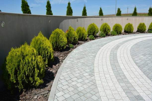 Reasons to Select Us for Your Driveway Paving Requirements in Venice, FL